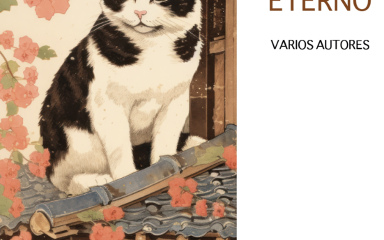 relatos felinos bastardo hostel madrid