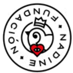 fundación nadine bastardo hostel madrid