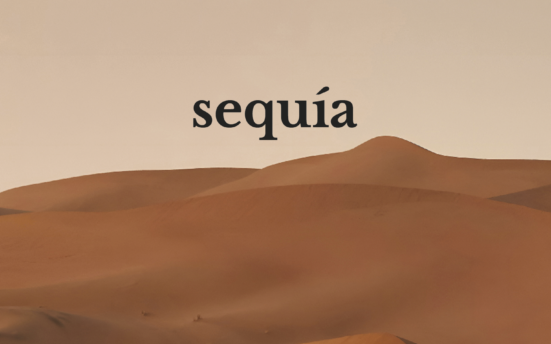 sequía bastardo hostel madrid