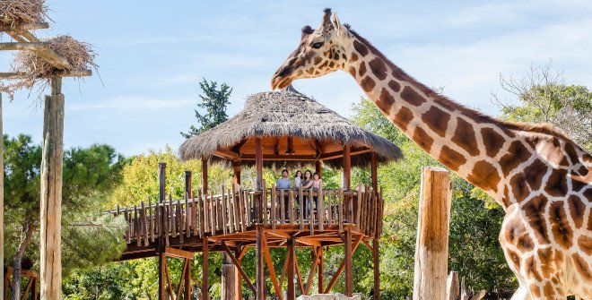 zoo bastardo hostel madrid