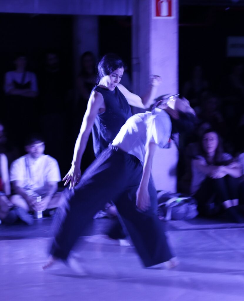 Bastardo Hostel Festival de danza
