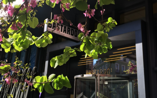 Fachada Plantas Bastardo Hostel Madrid Barato