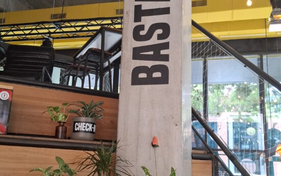 Plantas Bastardo Hostel Madrid Barato