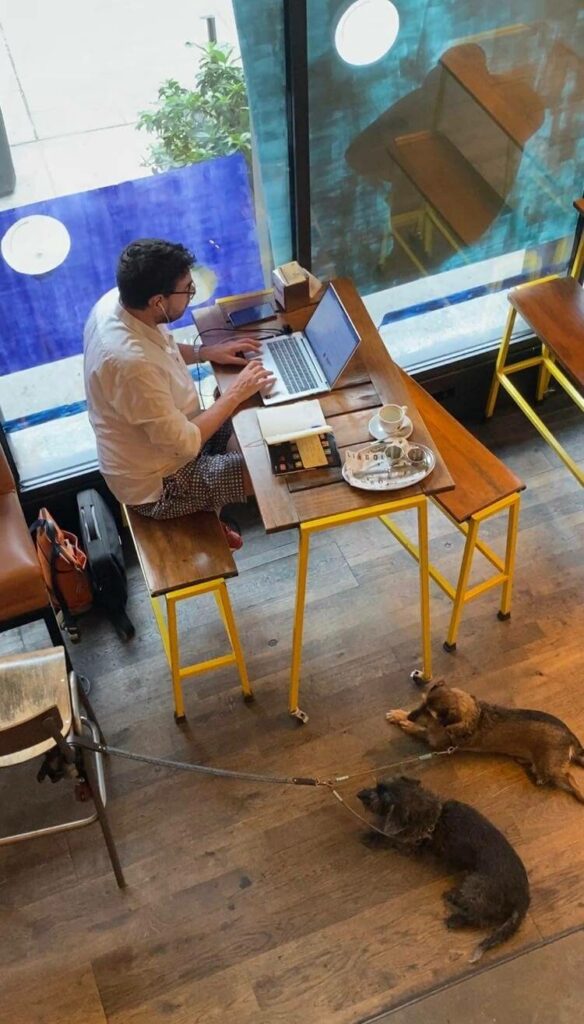 Pet Talks Bastardo Hostel Madris Barato